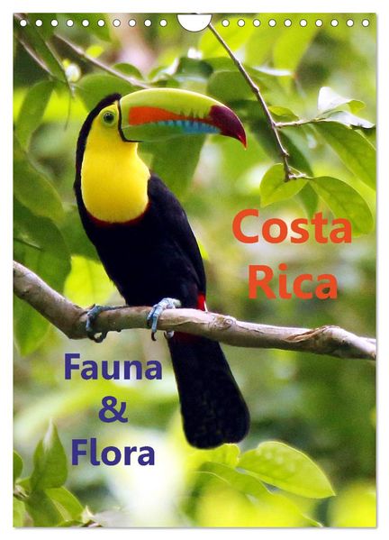 Costa Rica - Fauna & Flora (Wandkalender 2027 DIN A4 hoch) CALVENDO Monatskalender
