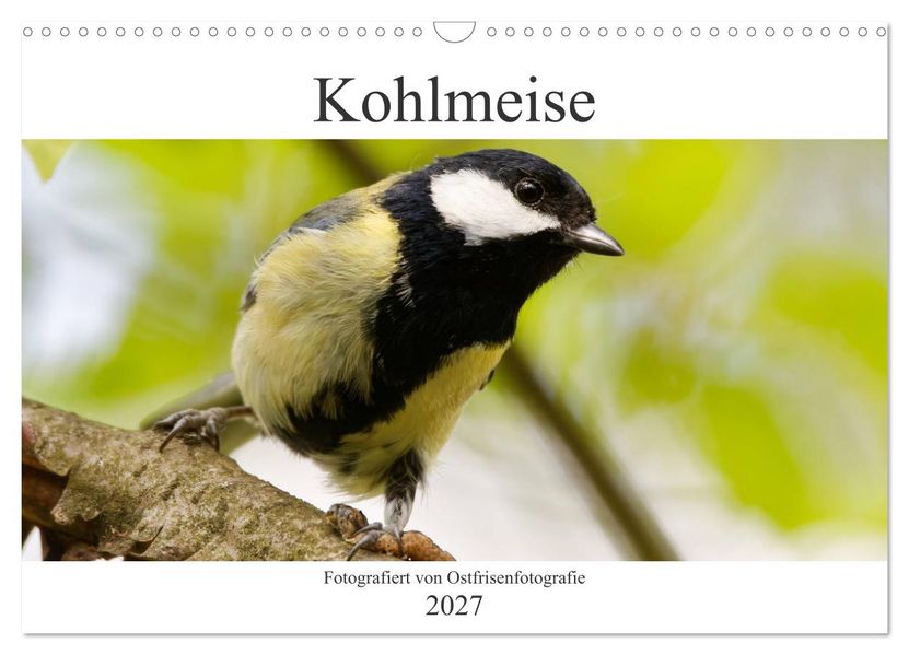 Kohlmeise - Fotografiert von Ostfriesenfotografie (Wandkalender 2027 DIN A3 quer) CALVENDO Monatskalender