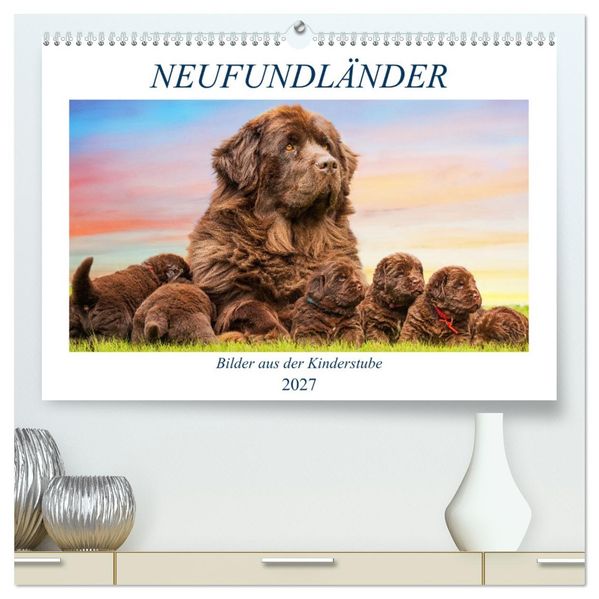 Neufundländer - Bilder aus der Kinderstube (hochwertiger Premium Wandkalender 2027 DIN A2 quer) Kunstdruck in Hochglanz