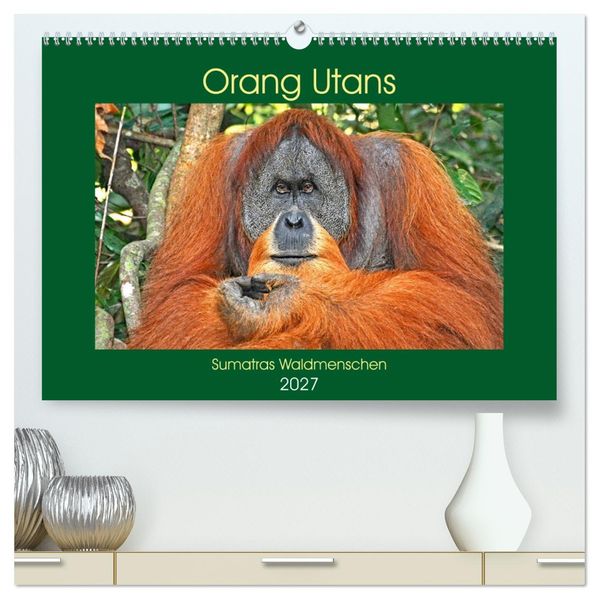 Orang Utans Sumatras Waldmenschen (hochwertiger Premium Wandkalender 2027 DIN A2 quer) Kunstdruck in Hochglanz