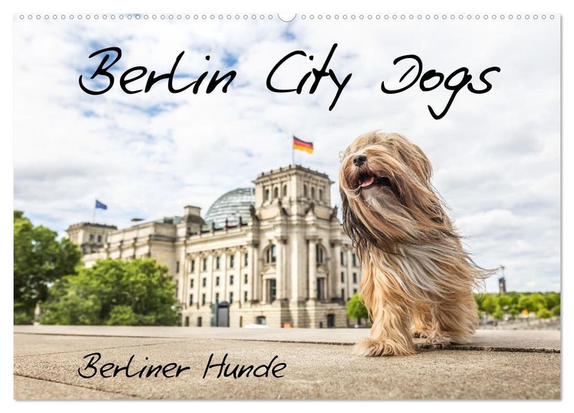 Berlin City Dogs - Berliner Hunde (Wandkalender 2027 DIN A2 quer) CALVENDO Monatskalender