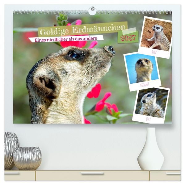 Goldige Erdmännchen (hochwertiger Premium Wandkalender 2027 DIN A2 quer) Kunstdruck in Hochglanz