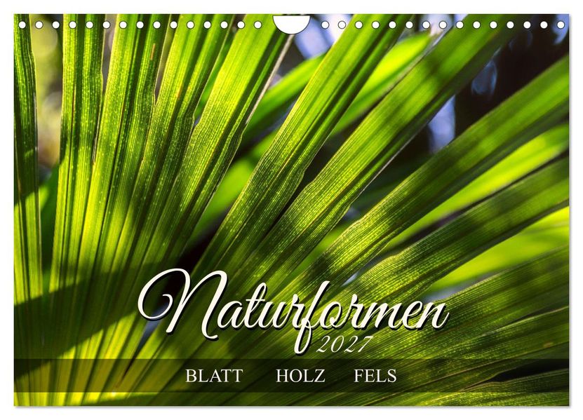 Naturformen Blatt Holz Fels (Wandkalender 2027 DIN A4 quer) CALVENDO Monatskalender