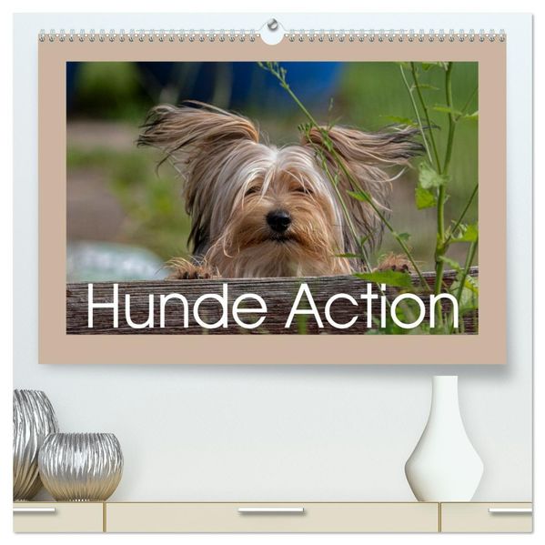 Hunde Action (hochwertiger Premium Wandkalender 2027 DIN A2 quer) Kunstdruck in Hochglanz