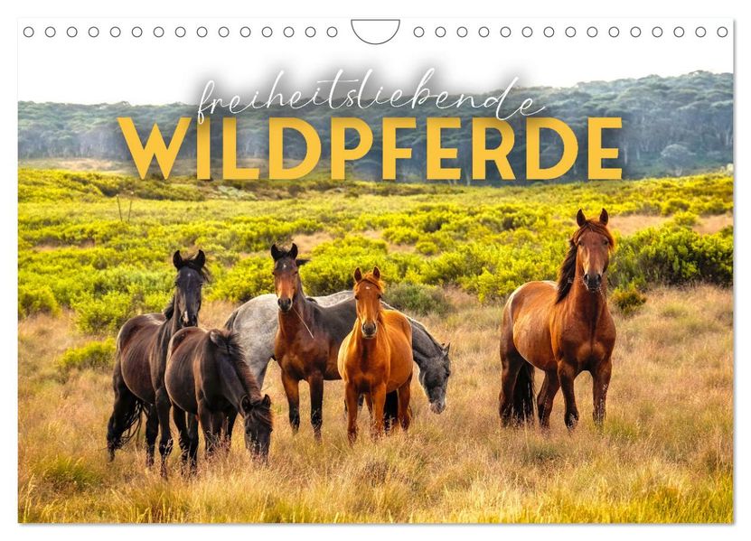Freiheitsliebende Wildpferde (Wandkalender 2027 DIN A4 quer) CALVENDO Monatskalender
