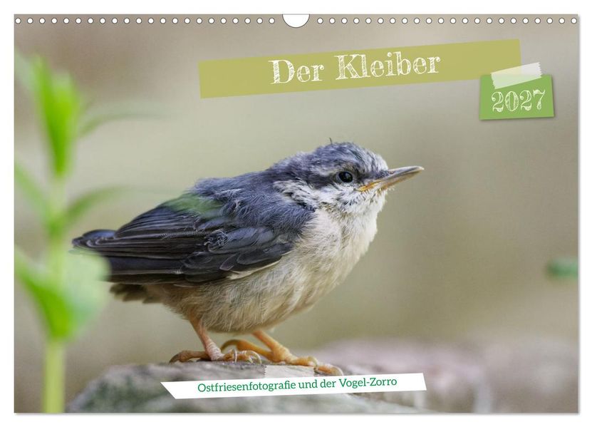 Der Kleiber - Ostfriesenfotografie und der Vogel-Zorro (Wandkalender 2027 DIN A3 quer) CALVENDO Monatskalender