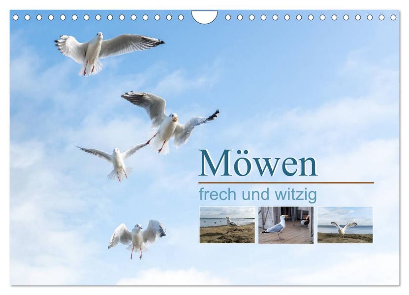 Möwen frech und witzig (Wandkalender 2027 DIN A4 quer) CALVENDO Monatskalender