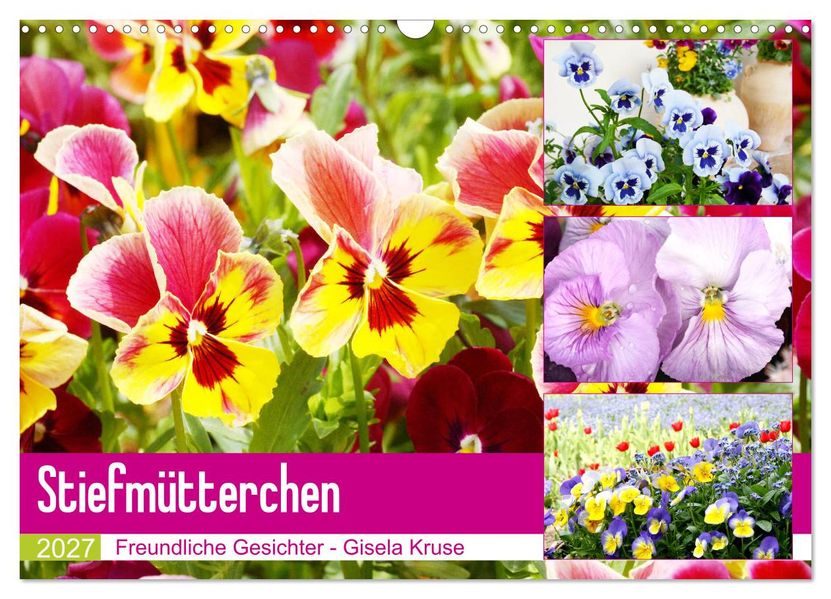 Stiefmütterchen Freundliche Gesichter (Wandkalender 2027 DIN A3 quer) CALVENDO Monatskalender