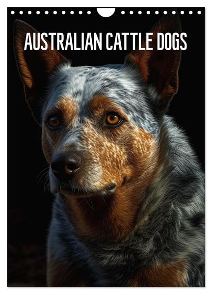 Australian Cattle Dogs (Wandkalender 2027 DIN A4 hoch) CALVENDO Monatskalender