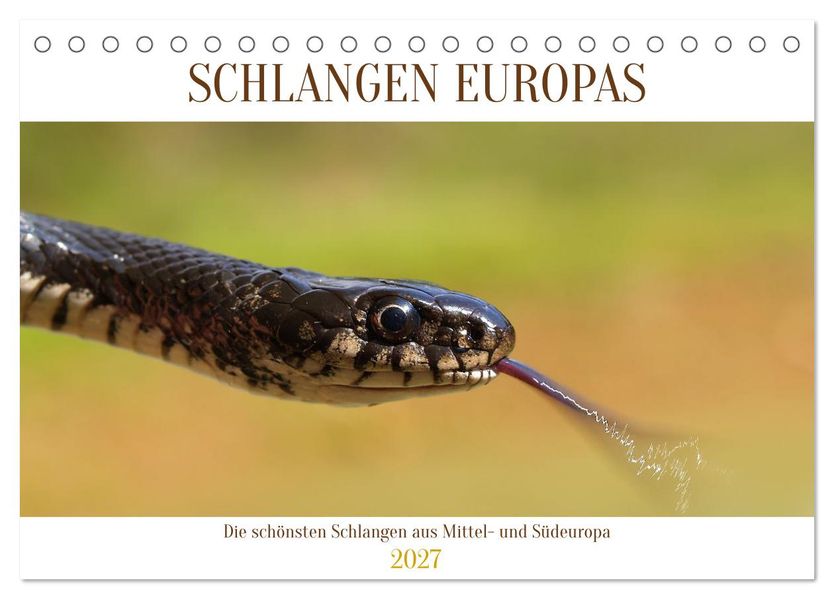 Schlangen Europas (Tischkalender 2027 DIN A5 quer) CALVENDO Monatskalender