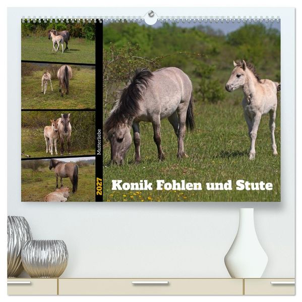 Mutterliebe - Konik Fohlen und Stute (hochwertiger Premium Wandkalender 2027 DIN A2 quer) Kunstdruck in Hochglanz
