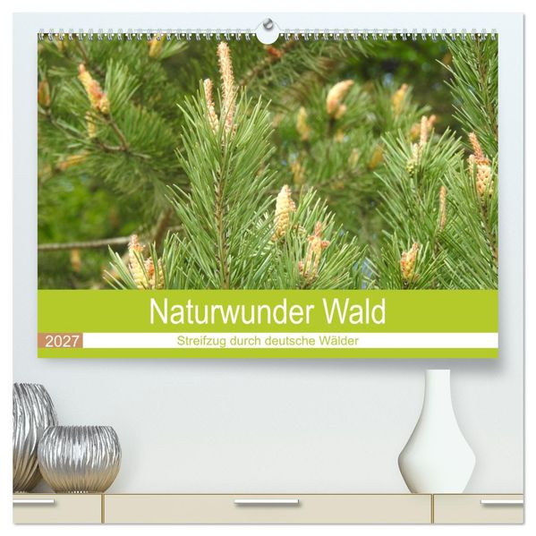 Naturwunder Wald (hochwertiger Premium Wandkalender 2027 DIN A2 quer) Kunstdruck in Hochglanz