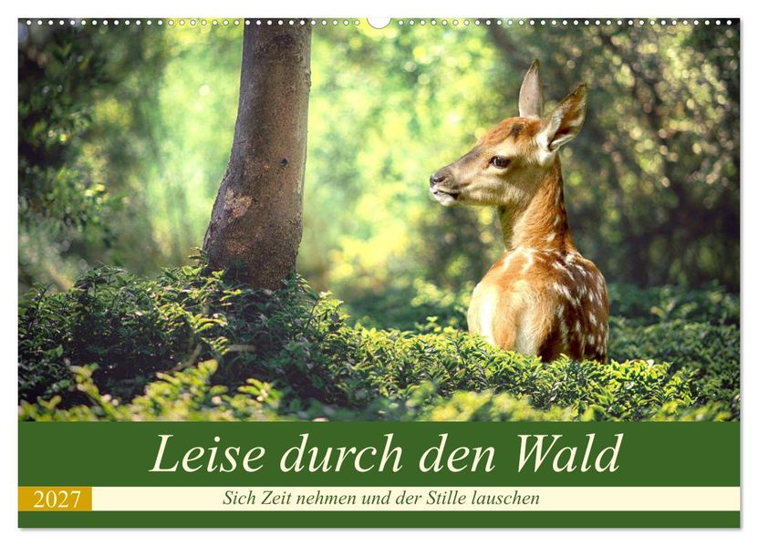 Leise durch den Wald. Sich Zeit nehmen und der Stille lauschen (Wandkalender 2027 DIN A2 quer) CALVENDO Monatskalender