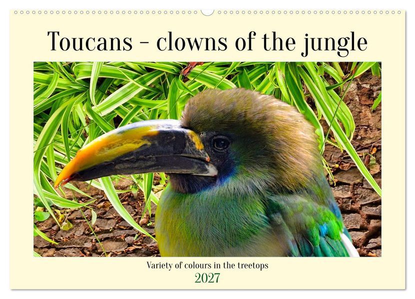 Toucans - clowns of the jungle (Wall Calendar 2027 DIN A2 landscape) CALVENDO 12 Month Wall Calendar