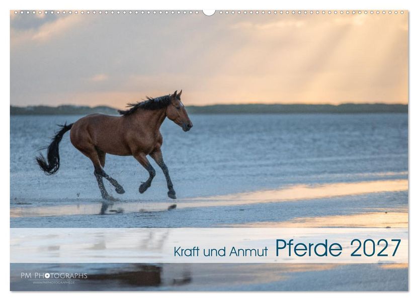 Pferde 2027 Kraft und Anmut (Wandkalender 2027 DIN A2 quer) CALVENDO Monatskalender