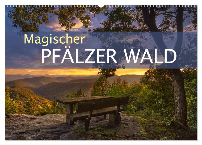 Magischer Pfälzer Wald (Wandkalender 2027 DIN A2 quer) CALVENDO Monatskalender