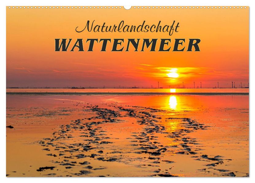 Naturlandschaft WATTENMEER (Wandkalender 2027 DIN A2 quer) CALVENDO Monatskalender