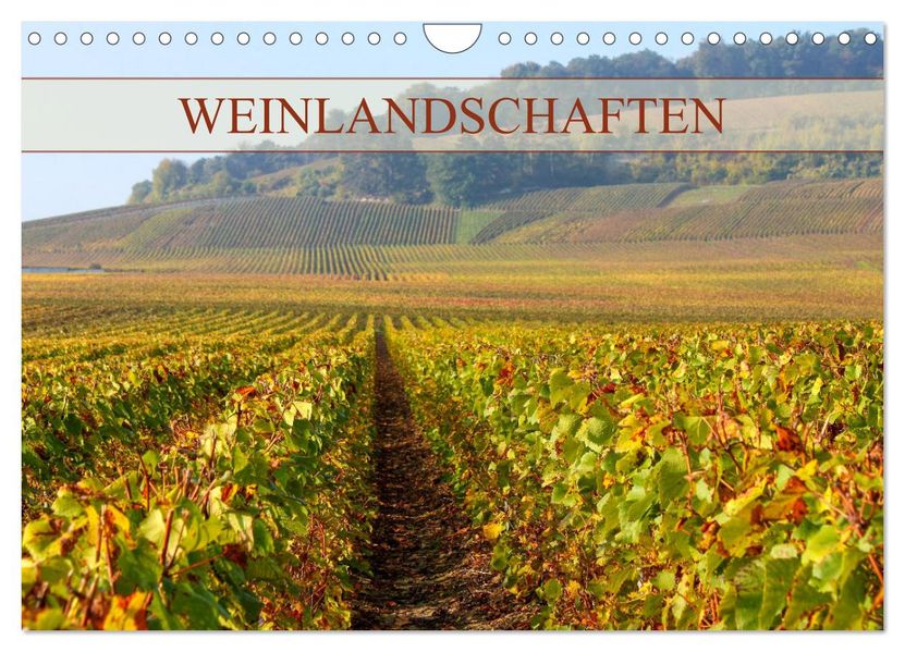 Weinlandschaften (Wandkalender 2027 DIN A4 quer) CALVENDO Monatskalender