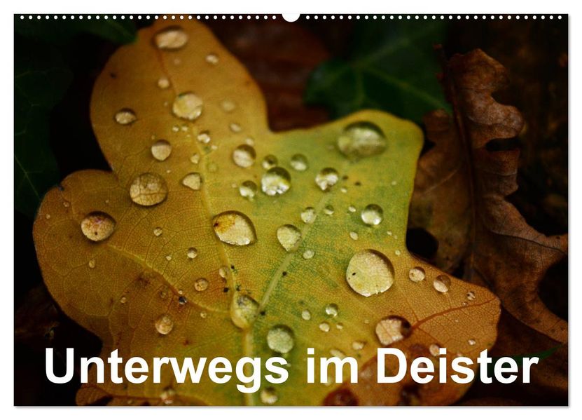 Unterwegs im Deister (Wandkalender 2027 DIN A2 quer) CALVENDO Monatskalender