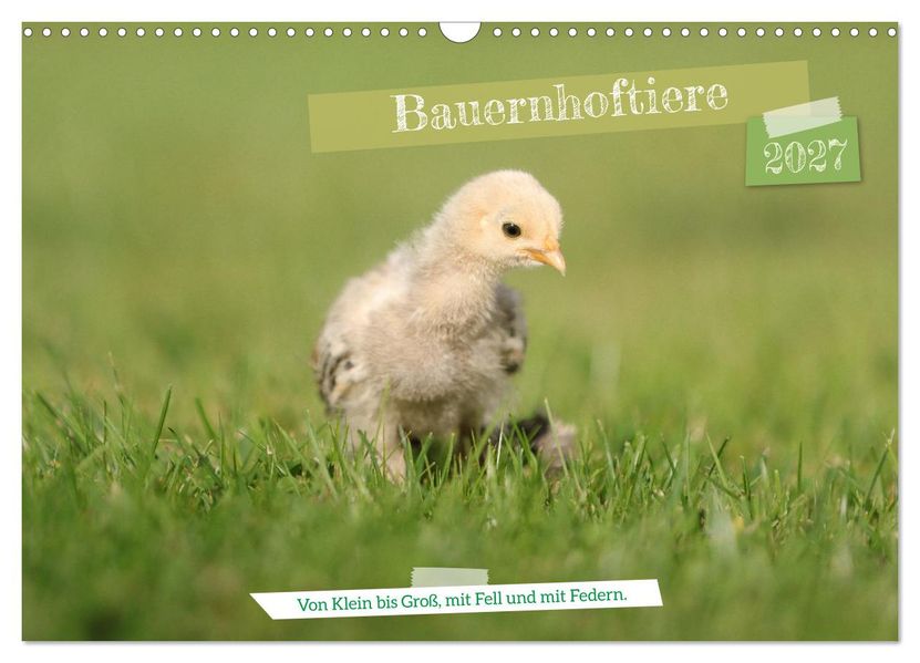 Bauernhoftiere - Von Klein bis Groß mit Fell und mit Federn. (Wandkalender 2027 DIN A3 quer) CALVENDO Monatskalender