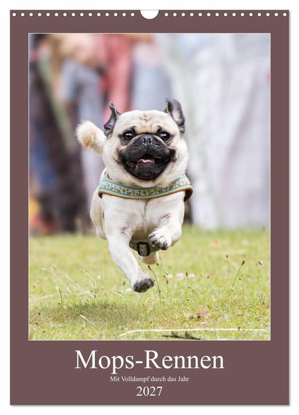 Mops-Rennen (Wandkalender 2027 DIN A3 hoch) CALVENDO Monatskalender