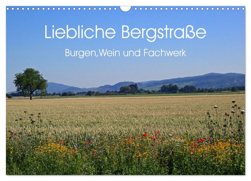 Liebliche Bergstraße - Burgen Wein und Fachwerk (Wandkalender 2027 DIN A3 quer) CALVENDO Monatskalender