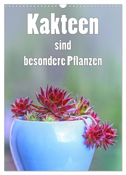 Kakteen sind besondere Pflanzen (Wandkalender 2027 DIN A3 hoch) CALVENDO Monatskalender