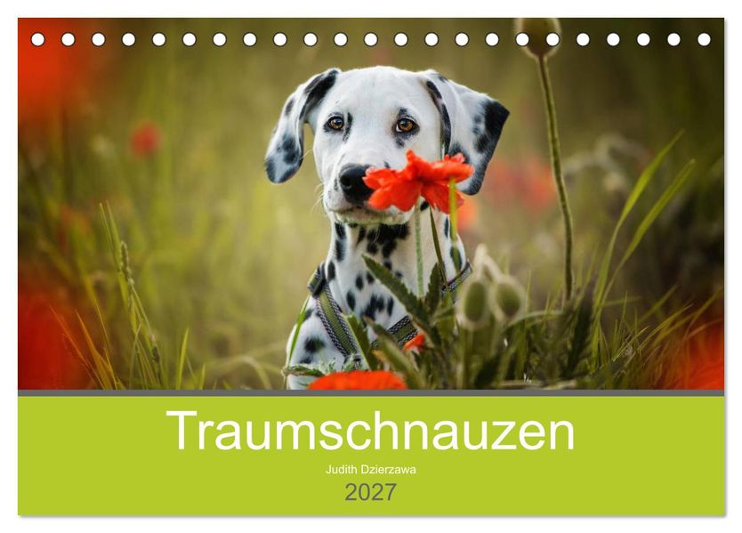 Traumschnauzen (Tischkalender 2027 DIN A5 quer) CALVENDO Monatskalender