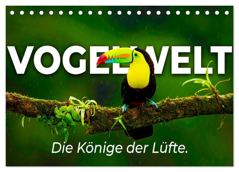 Vogelwelt - Die Könige der Lüfte. (Tischkalender 2027 DIN A5 quer) CALVENDO Monatskalender