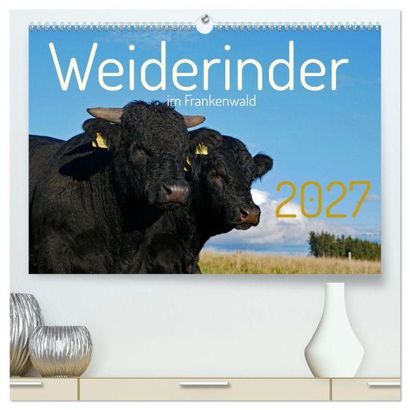Weiderinder im Frankenwald (hochwertiger Premium Wandkalender 2027 DIN A2 quer) Kunstdruck in Hochglanz