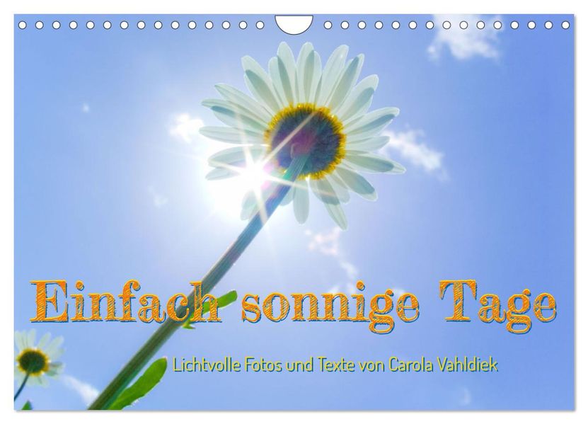 Einfach sonnige Tage (Wandkalender 2027 DIN A4 quer) CALVENDO Monatskalender