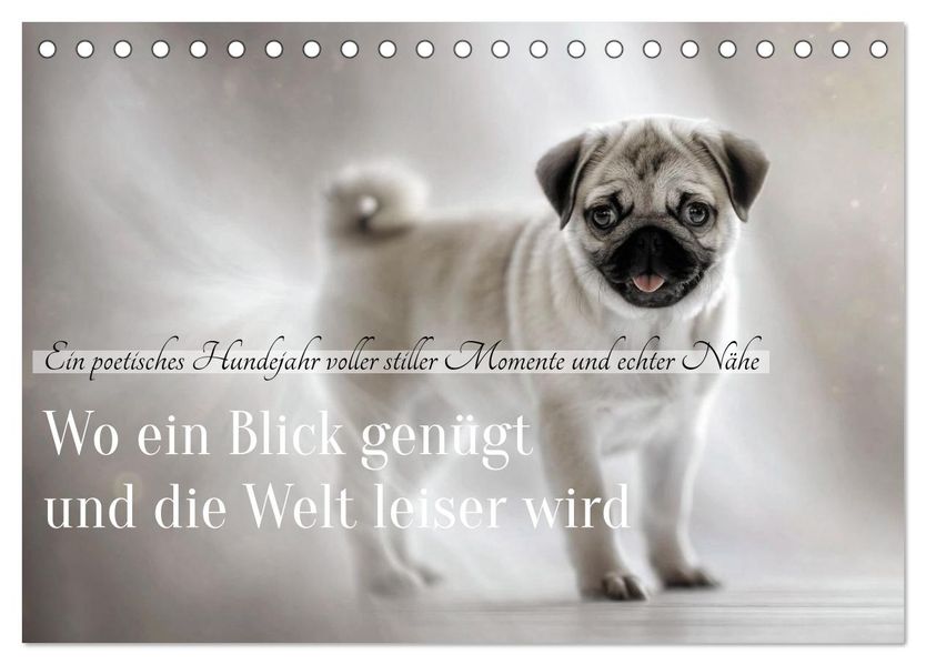 Wo ein Blick genügt und die Welt leiser wird (Tischkalender 2027 DIN A5 quer) CALVENDO Monatskalender