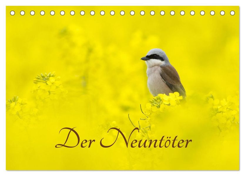 Der Neuntöter (Tischkalender 2027 DIN A5 quer) CALVENDO Monatskalender
