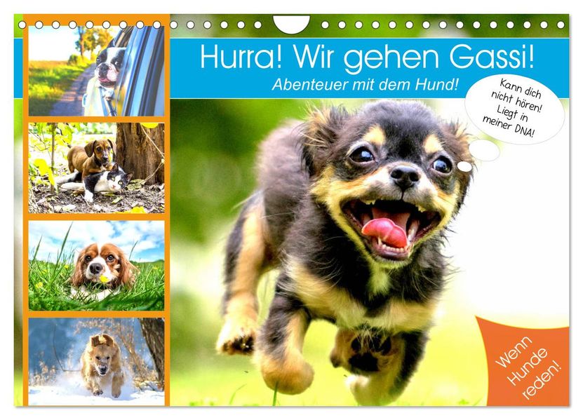 Hurra! Wir gehen Gassi! Abenteuer mit dem Hund! (Wandkalender 2027 DIN A4 quer) CALVENDO Monatskalender