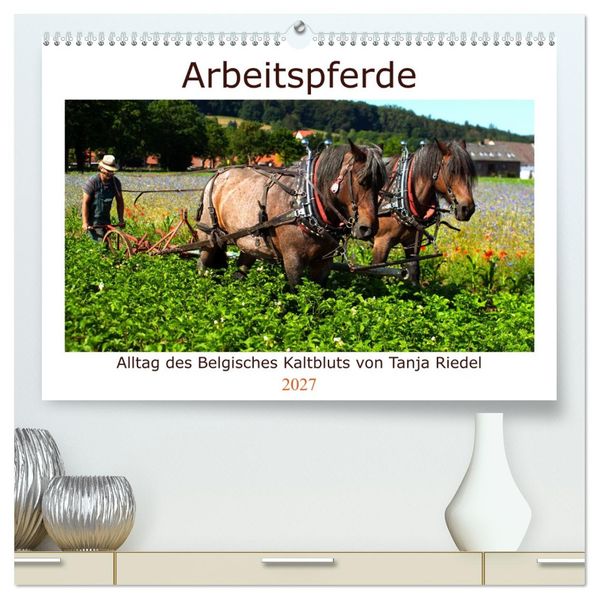 Arbeitspferde - Alltag des belgischen Kaltbluts (hochwertiger Premium Wandkalender 2027 DIN A2 quer) Kunstdruck in Hochglanz