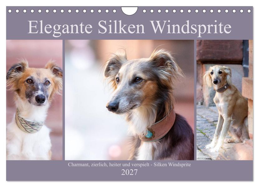 Elegante Silken Windsprite (Wandkalender 2027 DIN A4 quer) CALVENDO Monatskalender