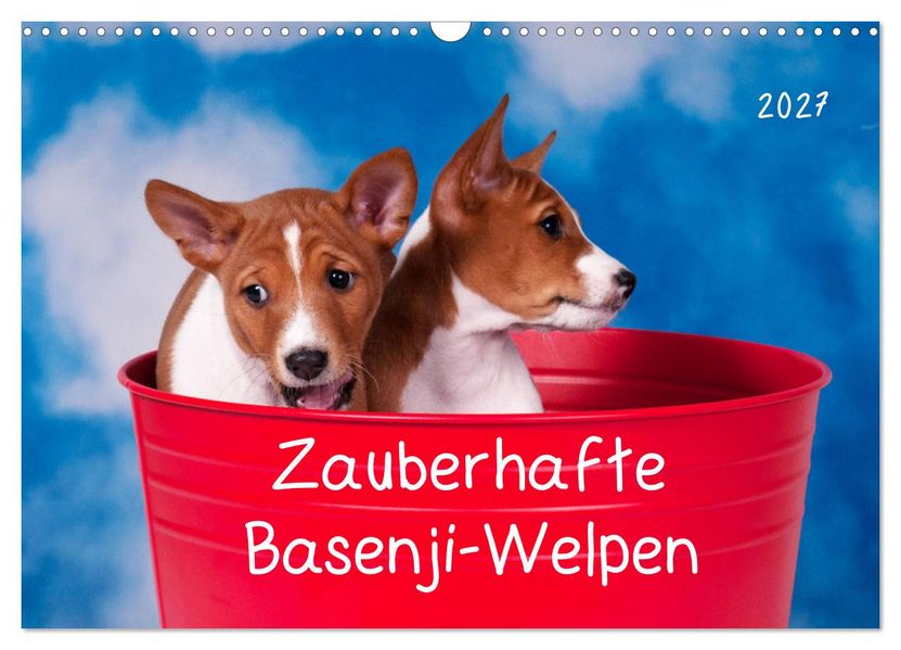 Zauberhafte Basenji-Welpen (Wandkalender 2027 DIN A3 quer) CALVENDO Monatskalender