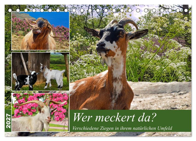 Wer meckert da? (Tischkalender 2027 DIN A5 quer) CALVENDO Monatskalender