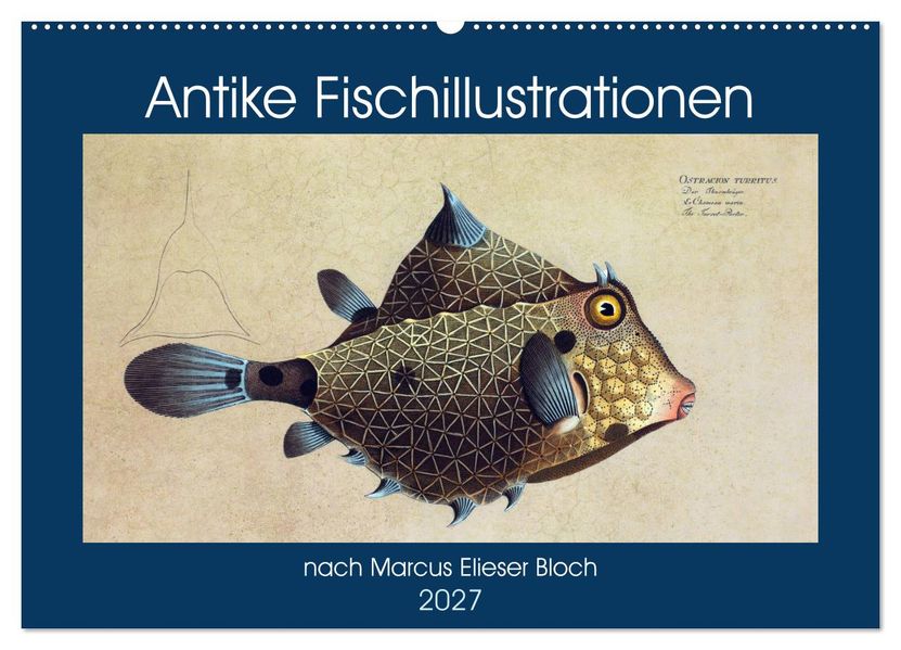 Antike Fischillustrationen nach Marcus Elieser Bloch (Wandkalender 2027 DIN A2 quer) CALVENDO Monatskalender