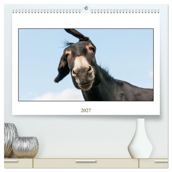Esel Lebensfreude - Spaß mit Langohren (hochwertiger Premium Wandkalender 2027 DIN A2 quer) Kunstdruck in Hochglanz