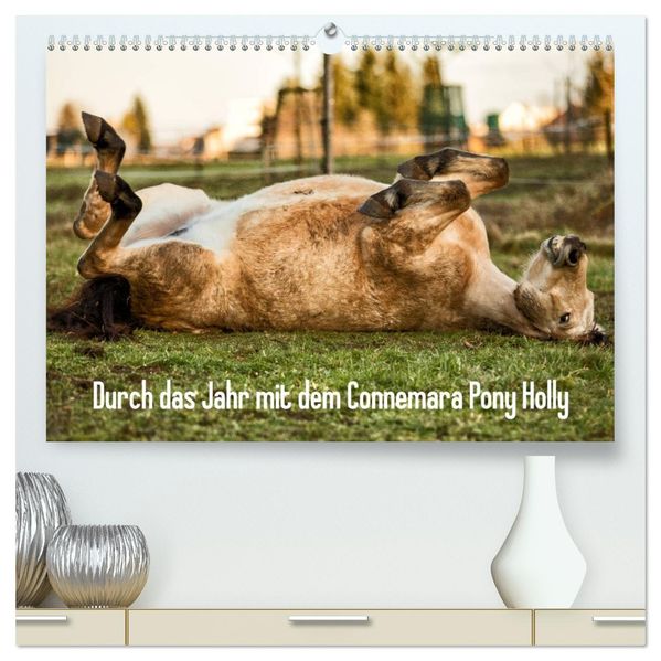 Durch das Jahr mit dem Connemara Pony Holly (hochwertiger Premium Wandkalender 2027 DIN A2 quer) Kunstdruck in Hochglanz