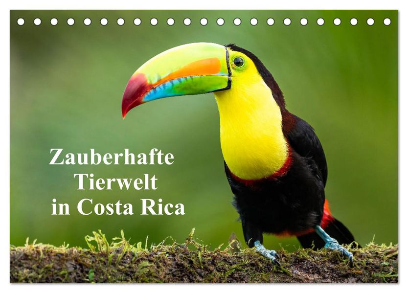 Zauberhaft Tierwelt in Costa Rica (Tischkalender 2027 DIN A5 quer) CALVENDO Monatskalender