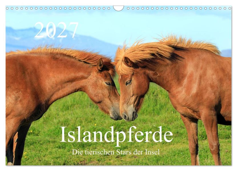 Islandpferde - Die tierischen Stars der Insel (Wandkalender 2027 DIN A3 quer) CALVENDO Monatskalender