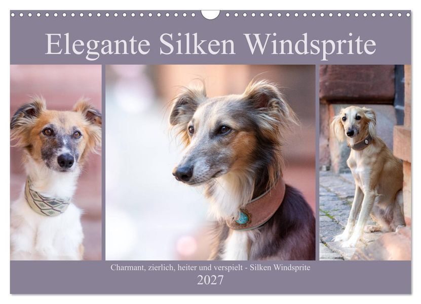Elegante Silken Windsprite (Wandkalender 2027 DIN A3 quer) CALVENDO Monatskalender