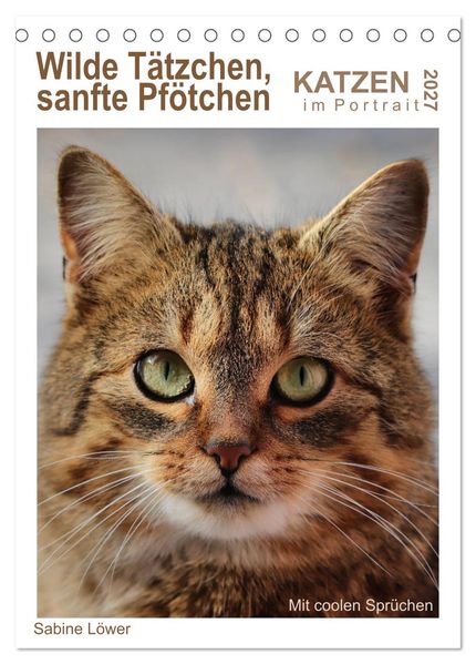 Wilde Tätzchen sanfte Pfötchen (Tischkalender 2027 DIN A5 hoch) CALVENDO Monatskalender