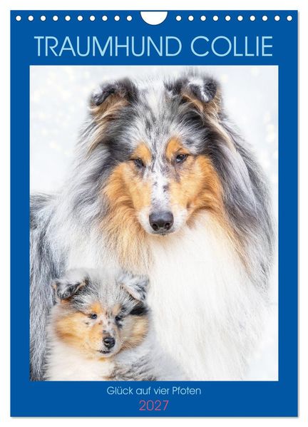 Traumhund Collie - Glück auf vier Pfoten (Wandkalender 2027 DIN A4 hoch) CALVENDO Monatskalender