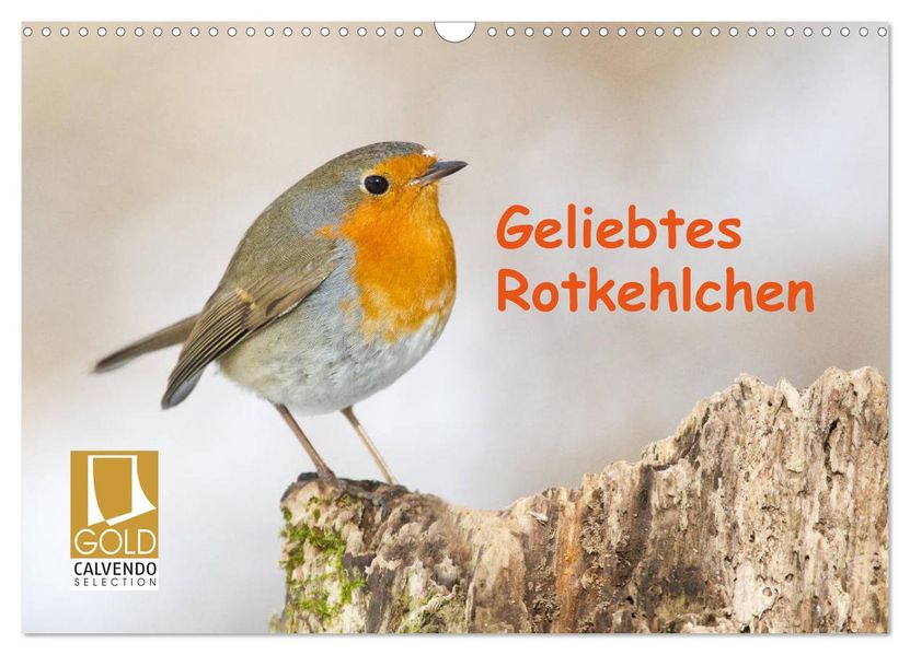 Geliebtes Rotkehlchen (Wandkalender 2027 DIN A3 quer) CALVENDO Monatskalender