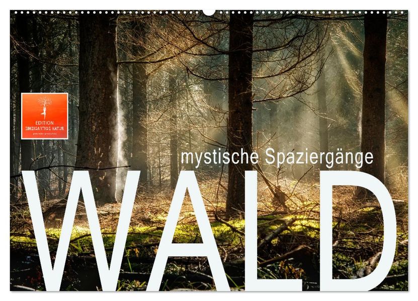 Wald - mystische Spaziergänge (Wandkalender 2027 DIN A2 quer) CALVENDO Monatskalender