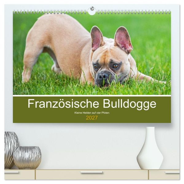 Französische Bulldogge - Kleine Helden auf vier Pfoten (hochwertiger Premium Wandkalender 2027 DIN A2 quer) Kunstdruck in Hochglanz