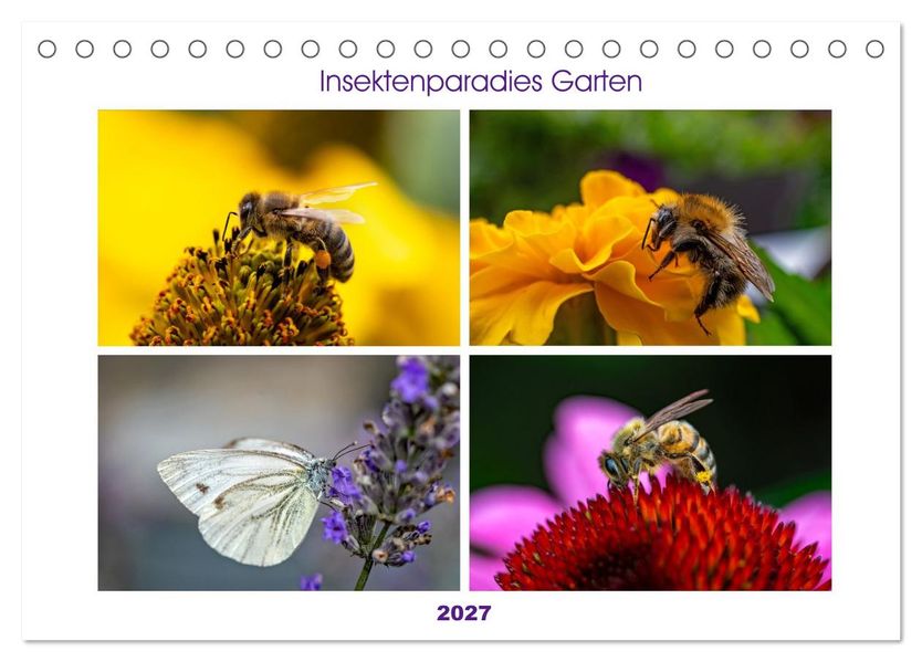 Insektenparadies Garten (Tischkalender 2027 DIN A5 quer) CALVENDO Monatskalender